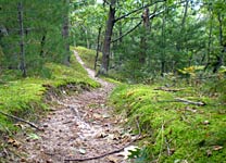 ridge route trail