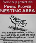 piping plover sign