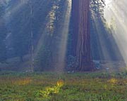 an ideal backpacking campsite