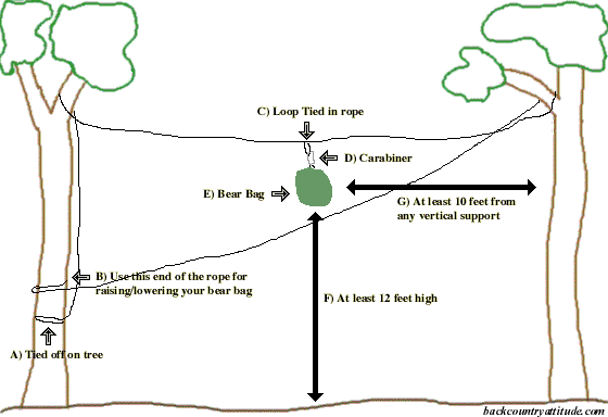 2 tree bear bag diagram