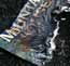 tin foil does not burn.jpg