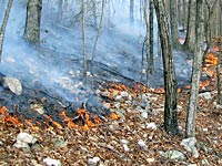 ground fire