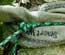 protect tree bark when camping