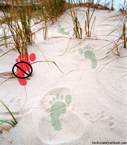 Hike between fragile dune grasses