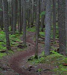 leave no trace on trail