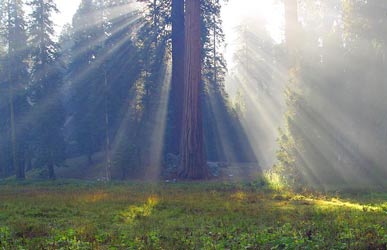 Remember to practice low-impact camping The perfect campsite?